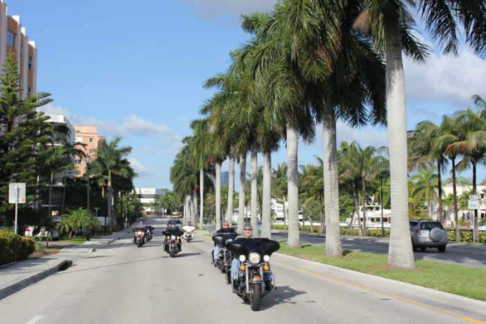 Floride route moto palmiers